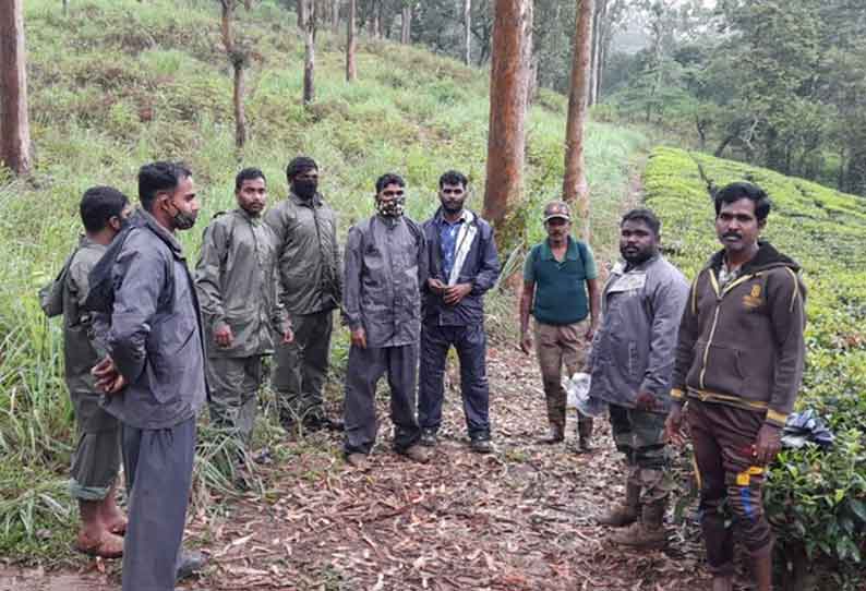 காட்டுயானைகளை கண்காணிக்க சிறப்பு குழு