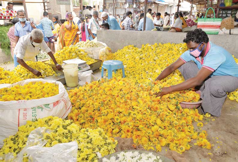 ஓணம் பண்டிகையையொட்டி திருப்பூரில் 3 டன் செவ்வந்தி பூ விற்பனை