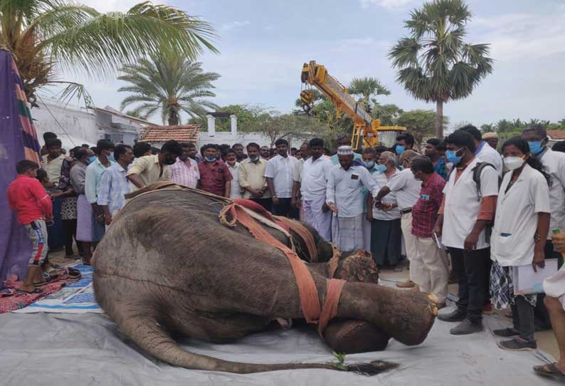 குலசேகரன்பட்டினம் கடற்கரை பள்ளிவாசலில் யானை உடல் அடக்கம்