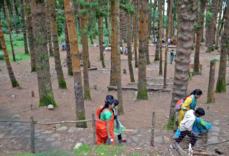 சுற்றுலா தலங்களில் தடையை மீறும் பயணிகள்