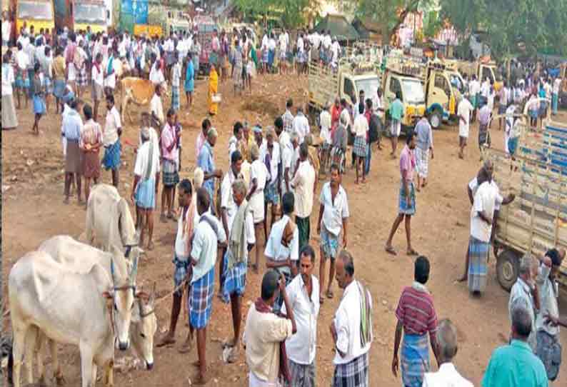 அந்தியூர் கால்நடை சந்தையில் காங்கேயம் காளை மாடு ஜோடி ரூ.1½ லட்சத்துக்கு விற்பனை