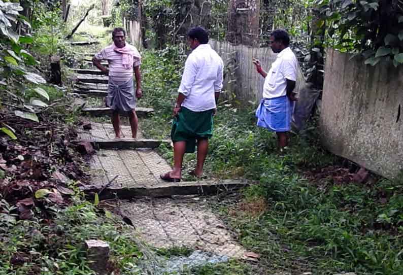 பயிர்களை சேதப்படுத்திய காட்டு யானைகள்