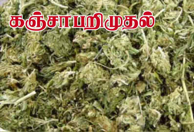 கஞ்சா விற்ற 2 பேர் கைது