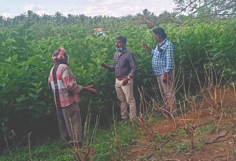 கதறி அழுத விவசாயியின் நிலத்தில் அதிகாரிகள் ஆய்வு