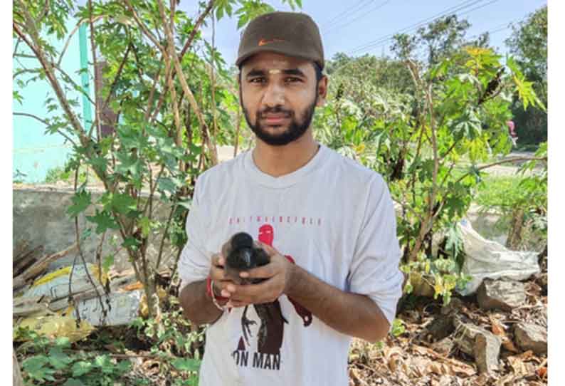 காயமடைந்த காகத்திற்கு சிகிச்சை அளித்த வாலிபருக்கு பாராட்டு