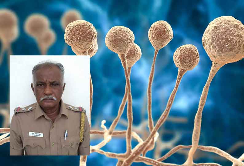 போடியில் கருப்பு பூஞ்சை நோய்க்கு போலீஸ் சப்-இன்ஸ்பெக்டர் பலி