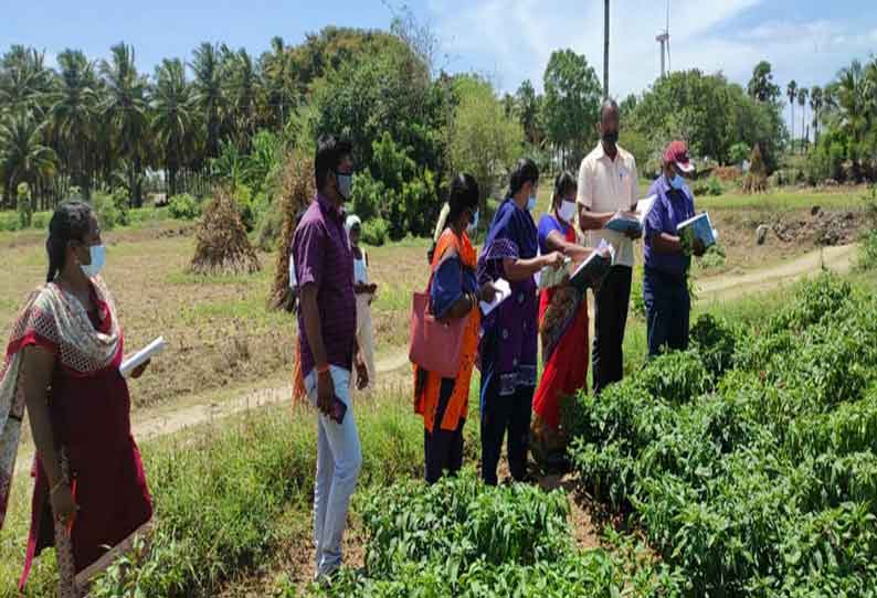 விவசாய நிலங்களில் தோட்டக்கலைத்துறையினர் ஆய்வு