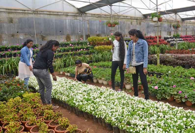 பூத்துக்குலுங்கும் மலர்களை கண்டு ரசித்த சுற்றுலா பயணிகள்