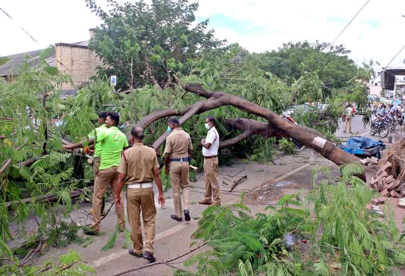 கோவையில் மழை