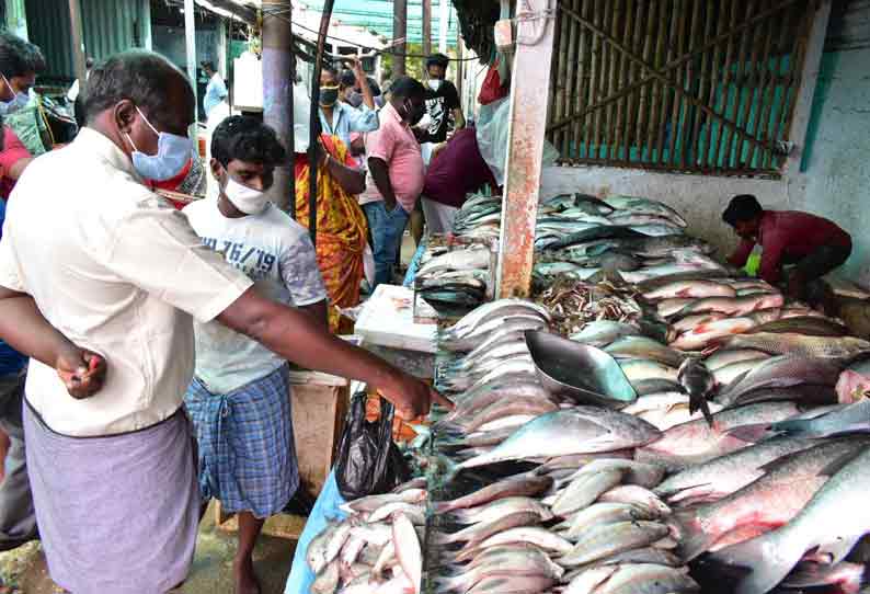 ஈரோட்டில் மீன் மார்க்கெட் செயல்பட தொடங்கியது