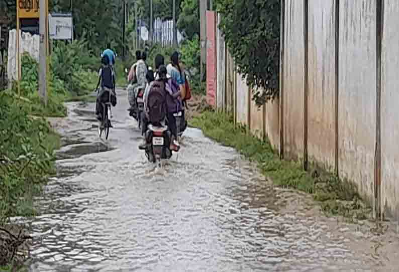 பெரியகுளம் கண்மாய் கரையில் உடைப்பு