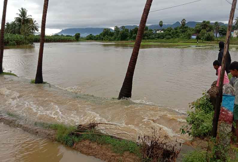 விக்கிரமசிங்கபுரம் அருகே குளங்கள் நிரம்பி வயலுக்குள் புகுந்த வெள்ளம் மீன் பிடித்து வாலிபர்கள் மகிழ்ந்தனர்