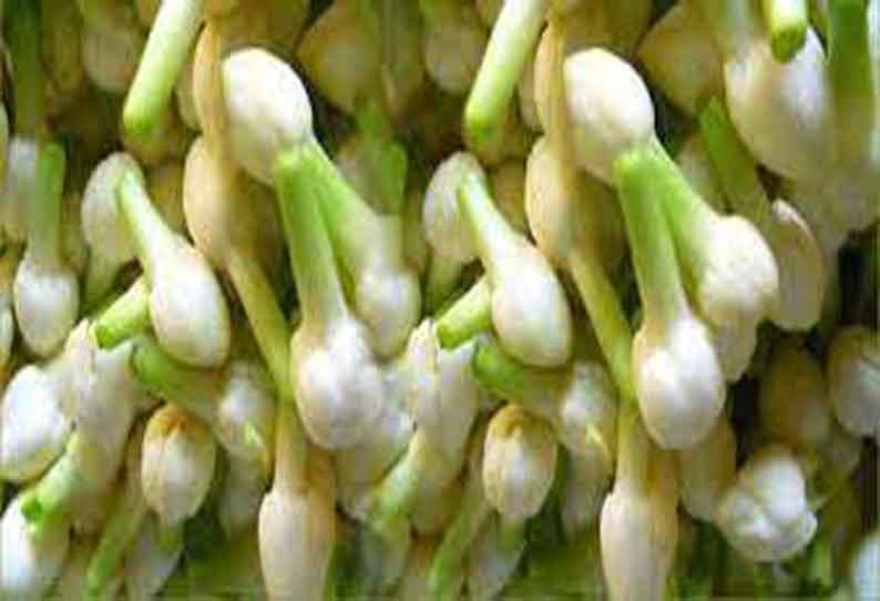 சத்தி மார்க்கெட்டில் மல்லிகைப்பூ கிலோ ரூ.1,365-க்கு ஏலம்