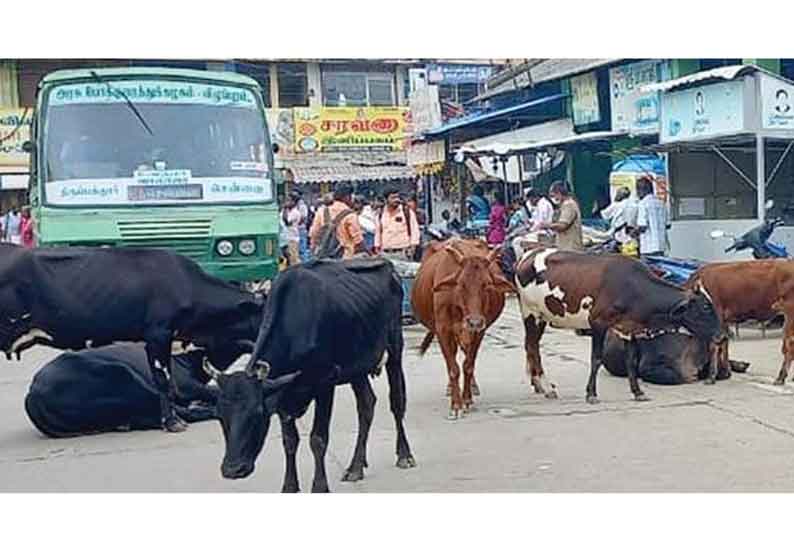 தினத்தந்தி புகார் பெட்டி