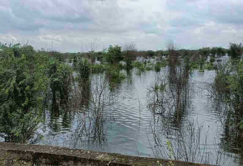 வேண்டாம்குளம் கண்மாய் நிரம்பியது