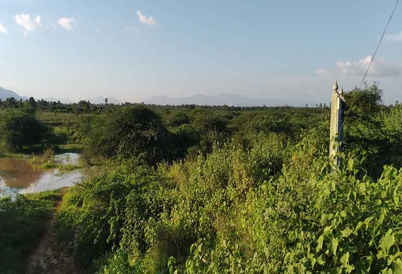 ஊரெல்லாம் வெள்ளக்காடாக காட்சி அளித்தாலும் பயன் இல்லை கடையம் பகுதியில் தண்ணீரின்றி வறண்டு கிடக்கும் குளங்கள்