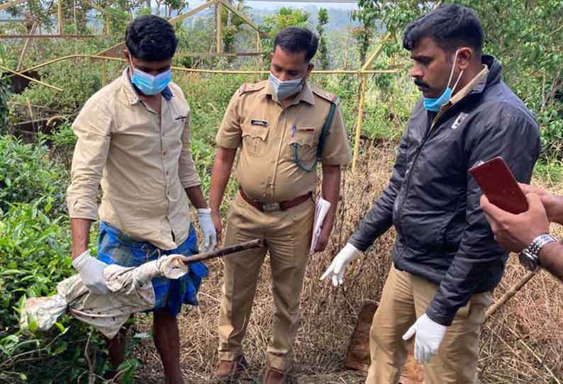 போலீஸ் ஏட்டு கைது; நாட்டுத்துப்பாக்கி பறிமுதல்