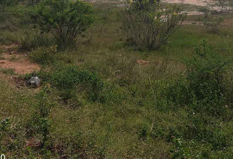 வறண்டு கிடக்கும் கறம்பக்குடி பெரியகுளம்