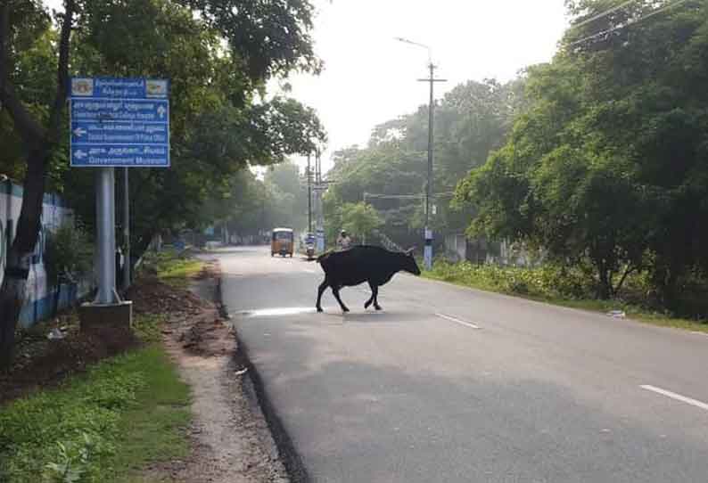 ‘தினத்தந்தி’ புகார் பெட்டி