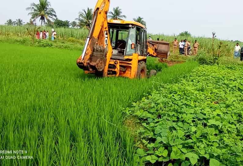 ஏரியை ஆக்கிரமித்து பயிரிடப்பட்ட நெல் கரும்பு பயிர்கள் அகற்றம்