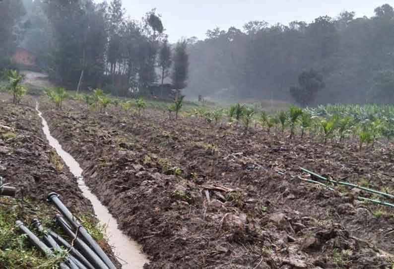 பாகற்காய் சாகுபடி செய்ய முடியாமல் விவசாயிகள் தவிப்பு