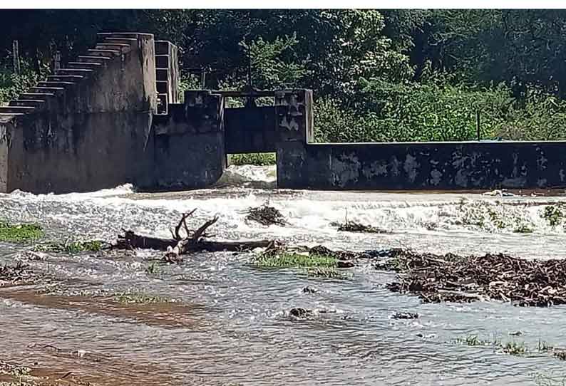 தங்கம்மாள் ஓடை மற்றும் ராஜவாய்க்காலில் மழை வெள்ளம் பெருக்கெடுத்து ஓடுகிறது