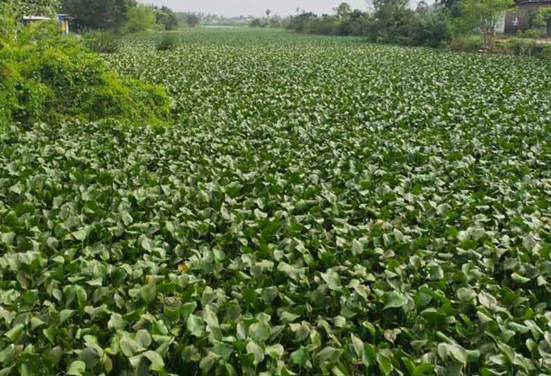 ‘தினத்தந்தி’ புகார் பெட்டியில் பதிவான மக்கள் குறைகள் தொடர்பான பதிவுகள்