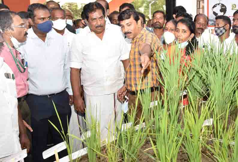 இயற்கை விவசாயத்துக்கு மானியத்தொகையை உயர்த்த நடவடிக்கை-அமைச்சர் மூர்த்தி தகவல்