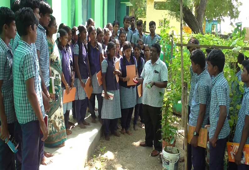 விளாத்திகுளம் அருகே இயற்கை முறையில் காய்கறி தோட்டத்தை உருவாக்கி அரசு பள்ளி மாணவர்கள் அசத்தி உள்ளனர்