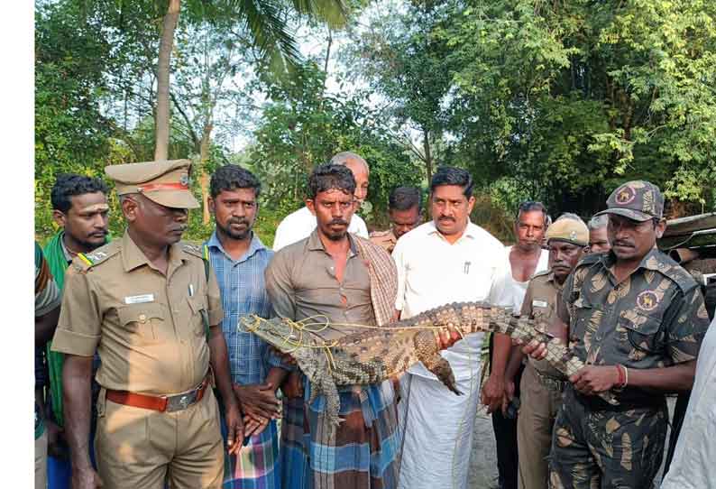 கிராம மக்களை அச்சுறுத்திய முதலை பிடிபட்டது