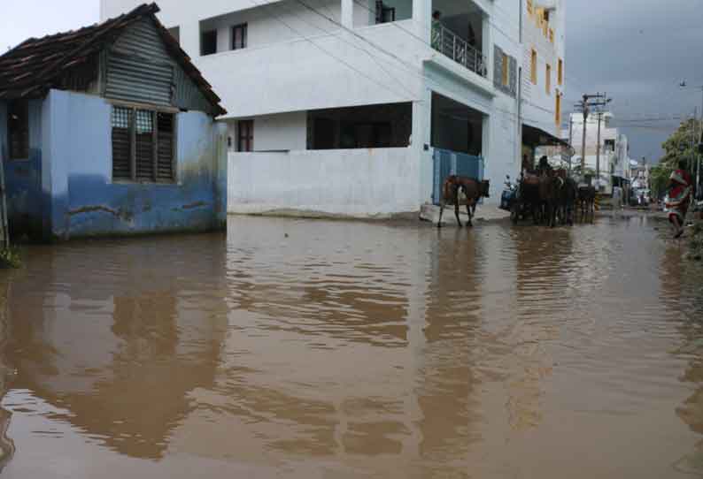 நெல்லையில் வீடுகளை சூழ்ந்த வெள்ளம்