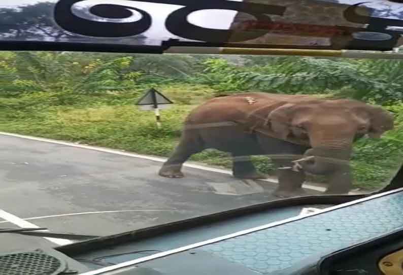 தாளவாடி அருகே பரபரப்பு: கர்நாடக அரசு பஸ்சை வழிமறித்த ஒற்றை யானை