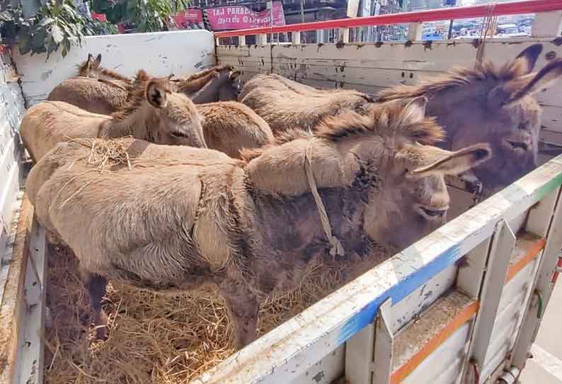 சரக்கு ஆட்டோவில் கழுதைகளை கடத்திய ஆந்திர கும்பல்