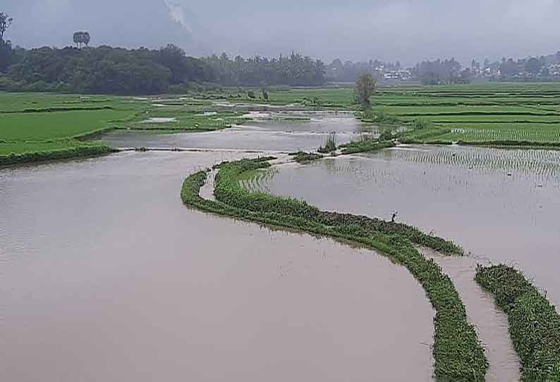 கால்வாயில் மீண்டும் உடைப்பு; நெற்பயிர்கள் தண்ணீரில் மூழ்கி சேதம்