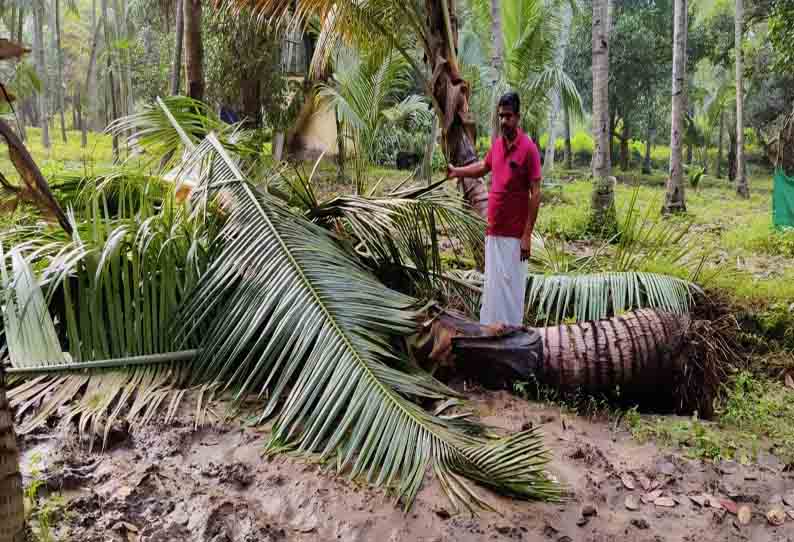 தொடரும் காட்டு யானைகள் அட்டகாசம்