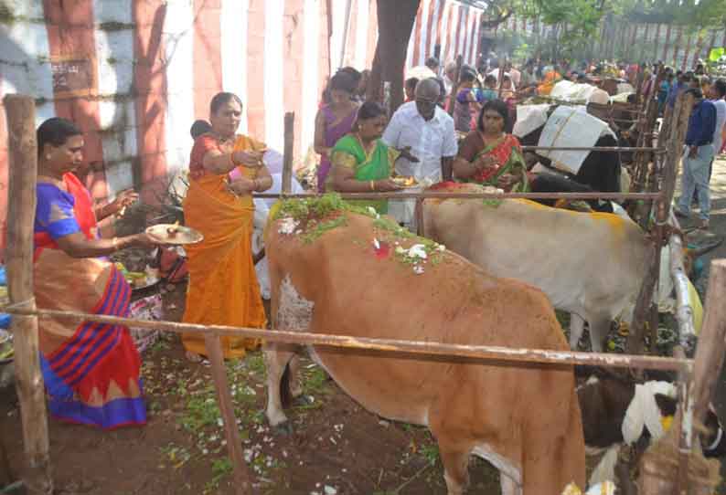 ராஜகோபால சுவாமி கோவிலில் கோபூஜை