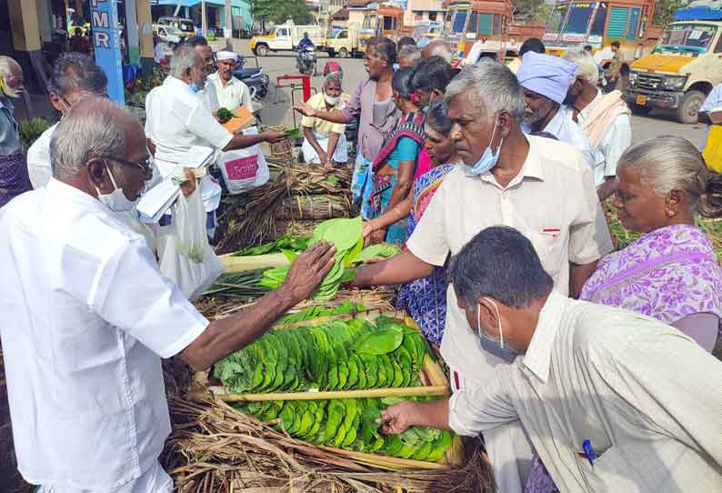 பொள்ளாச்சி மார்க்கெட்டில் வெற்றிலை விலை அதிகரிப்பு