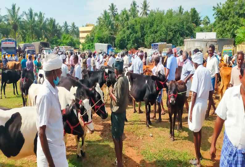 சீனாபுரம் சந்தையில் ரூ.15 லட்சத்துக்கு கால்நடைகள் விற்பனை