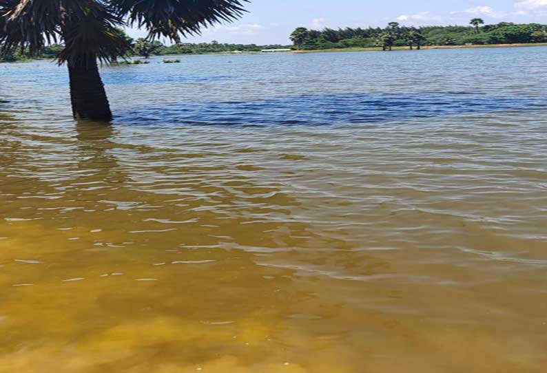 உடன்குடி அருகே கருமேனி ஆற்று தடுப்பணையில் தண்ணீர் தேங்கியது