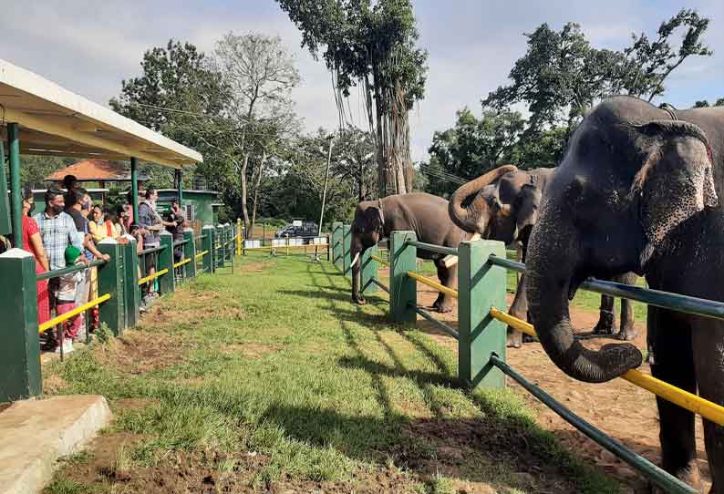 முதுமலையில் சுற்றுலா பயணிகள் வருகை குறைந்தது