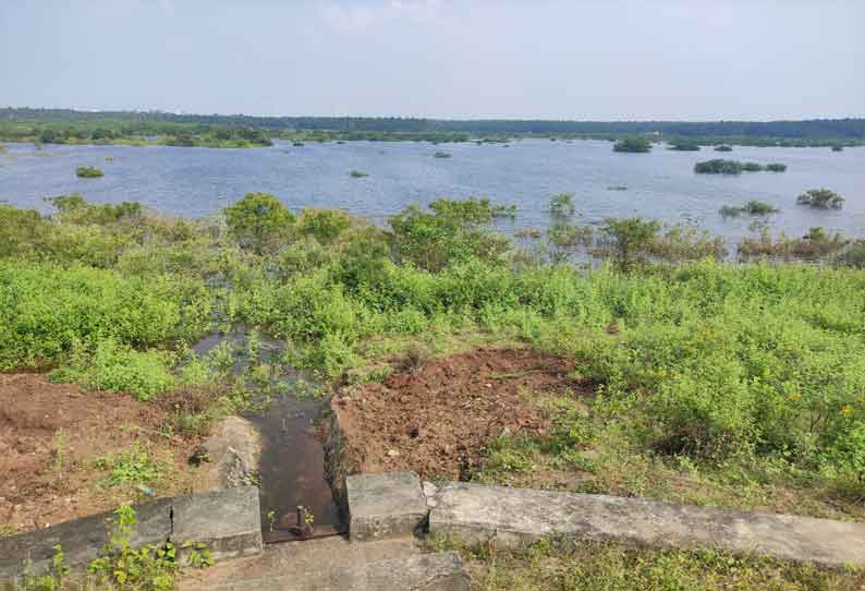 35 ஆண்டுகளுக்கு பிறகு பிஏபி உபரிநீர் கோதவாடிகுளம் மதகை எட்டியது