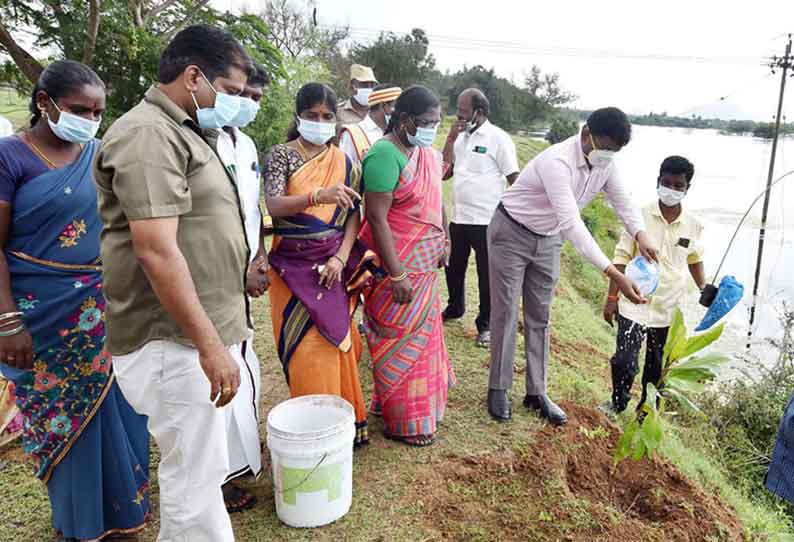 மரக்கன்று நடும் பணி