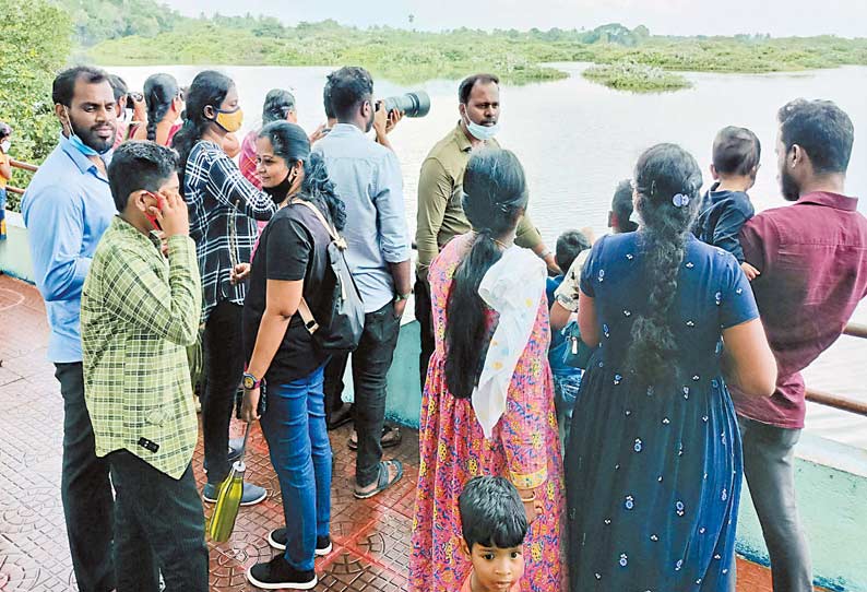 வேடந்தாங்கல் பறவைகள் சரணாலயத்தில் குவிந்த சுற்றுலா பயணிகள்