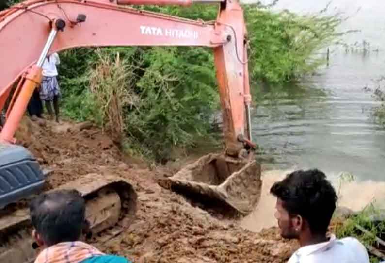 மாங்குடி பெரியகுளத்தில் உடைப்பு