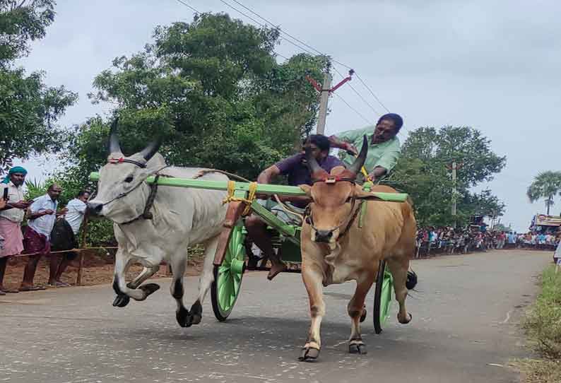 கால்நடை டாக்டருக்காக காத்திருக்கும் ஆஸ்பத்திரி...