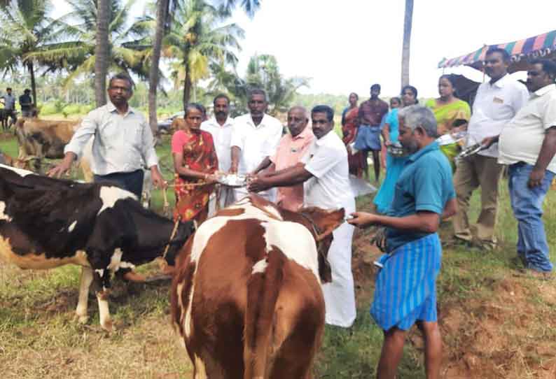 பிப்ரவரி மாதத்திற்குள் 60 கால்நடை மருத்துவ முகாம்கள் நடத்தப்படும்