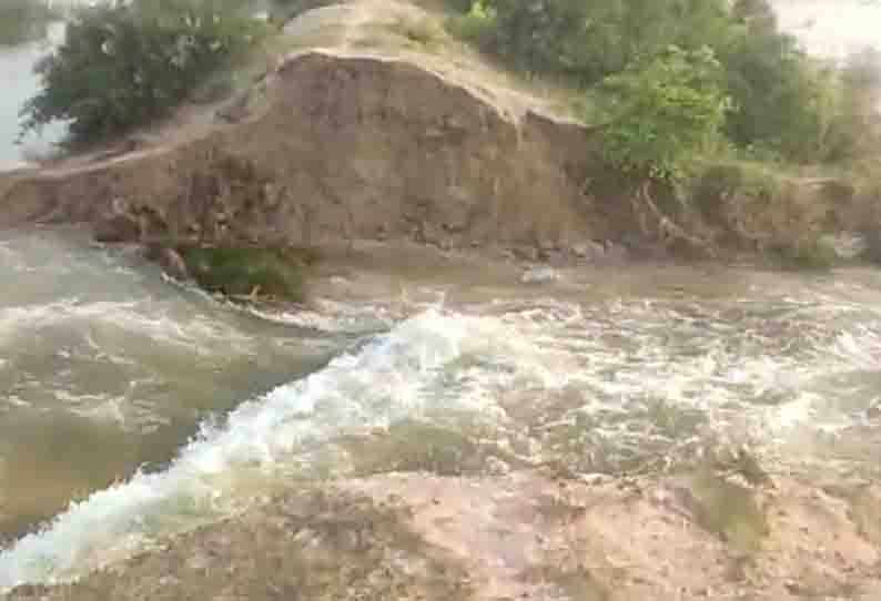 விராலிமலை ஒன்றியம்  கோங்குடிபட்டி பெரியகுளம்  கரையில் உடைப்பு