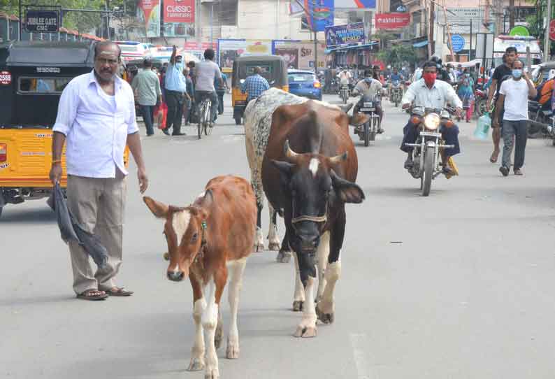 தினத்தந்தி புகார் பெட்டி