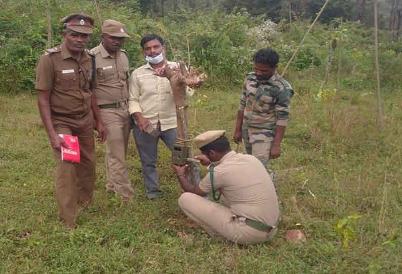 கூடலூர் அருகே மர்மவிலங்கு கடித்து கன்றுக்குட்டி பலி