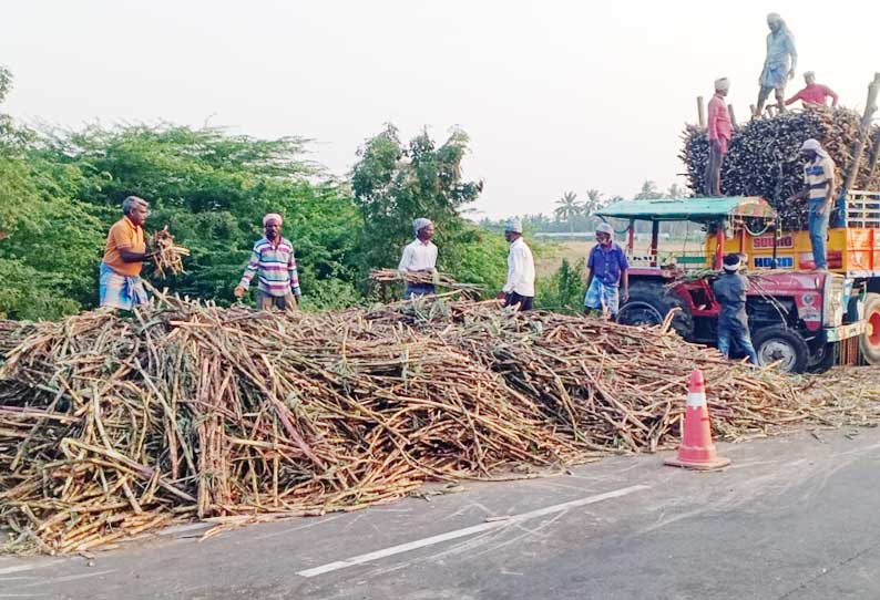 கரும்புகள் ஏற்றிச்சென்ற டிராக்டர் கவிழ்ந்து டிரைவர் படுகாயம்